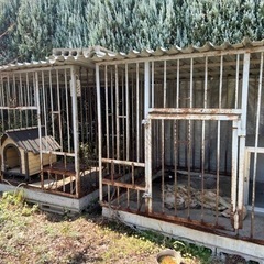 犬舎　大型犬