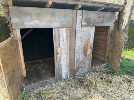 ヤギ小屋