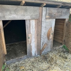 ヤギ小屋