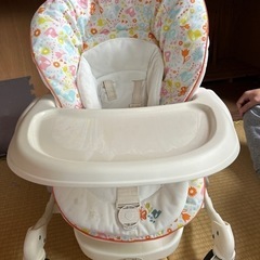 combi バウンサーネムリラの画像