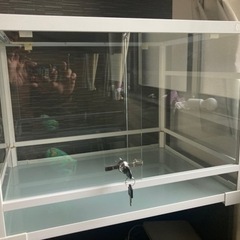 爬虫類ゲージ
