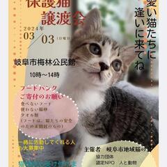 岐阜市保護猫譲渡会