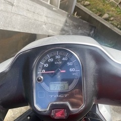 原付バイク、ホンダタクトAF75の画像