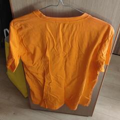 Ｔシャツの画像