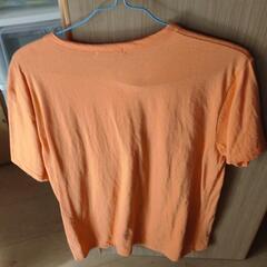 Tシャツの画像