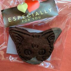 助けて下さい🙇視覚障害と保護猫の為に作ってもらったグルテンフリー...