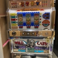 ★激レア3号機★【アークテクニコ】ワイルドキャッツの画像