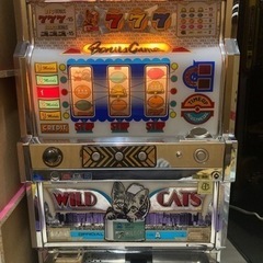 ★激レア3号機★【アークテクニコ】ワイルドキャッツ
