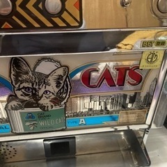 ★激レア3号機★【アークテクニコ】ワイルドキャッツの画像