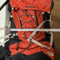 【3月2日までの引取り】登山 リュックの画像