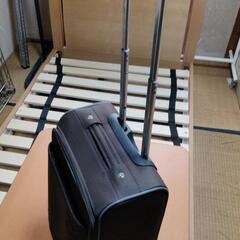 PIKO キャリーケースの画像