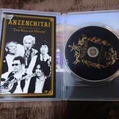 安全地帯　DVD　2枚組の画像