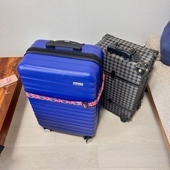 キャリーバック　2個セット