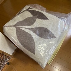 『受渡決定』2畳用のカーペット