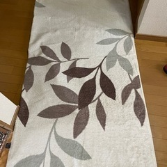 『受渡決定』2畳用のカーペットの画像