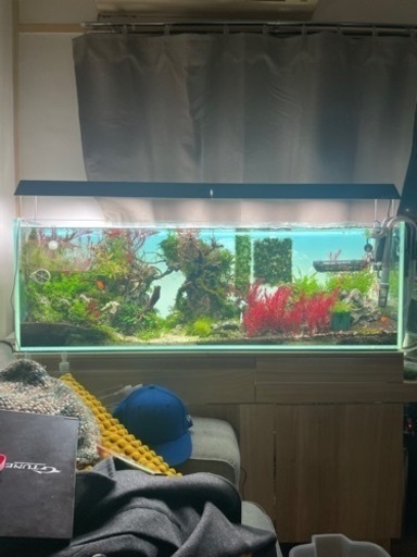 アクアリウムタンク