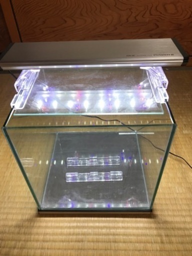 25センチキューブ水槽と照明のセット