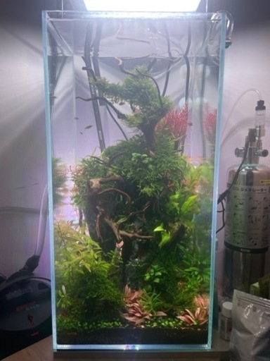 アクアリウムタンクとハードデザイン