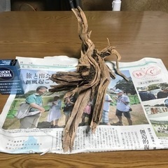 流木　一点物の画像