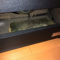 GuyatoneFLIP300Fの画像