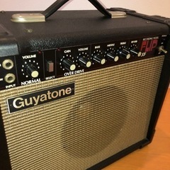 GuyatoneFLIP300Fの画像