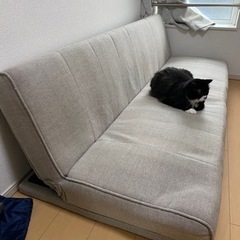 【3/3まで】ソファーベッド　の画像