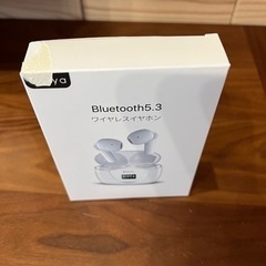 イヤホン　未使用品の画像