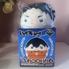 ハイキュー　ふわコロリン　赤葦