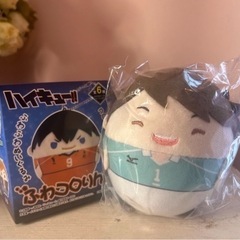 ハイキュー　ふわコロリン　及川