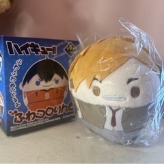 ハイキュー　ふわコロリン　宮侑