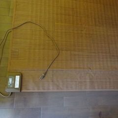 KODEN フローリング仕様電気カーペット 176cm x 12...