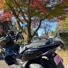 鹿児島県のPCXの中古が安い！激安で譲ります・無料であげます｜ジモティー