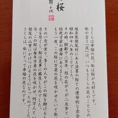 日本香堂　宇野千代のお線香　特撰淡墨の桜　塗箱短10入の画像