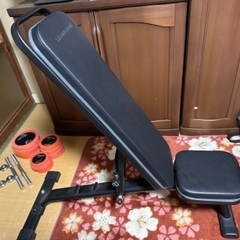 ダンベル+トレーニングベンチの画像