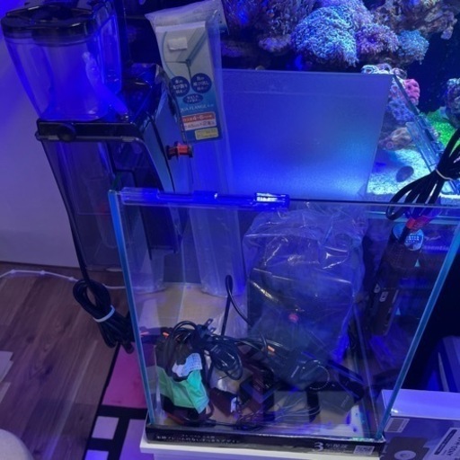一部商談中】小型！海水魚水槽一式！ほぼほぼ揃ってます♫