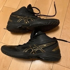 バスケットシューズの画像