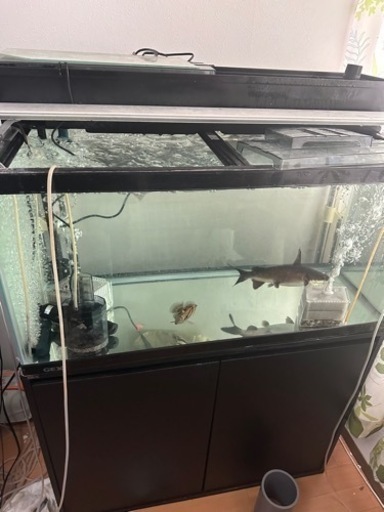 90規格水槽決まりました