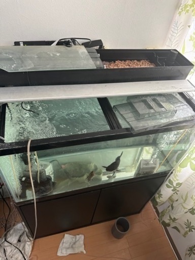 90規格水槽決まりました