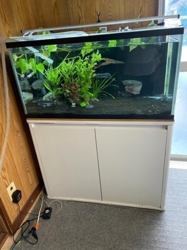 90cmの水槽とタンス