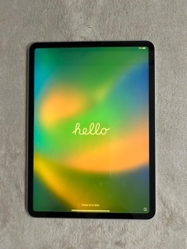 ipad pro 11インチ　第2世代 128g wifi グレー　(画面焼けあり)