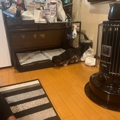 家電 季節、空調家電 ストーブ