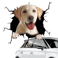 犬のฅ՞•ﻌ•՞ฅ車や壁ステッカーの画像