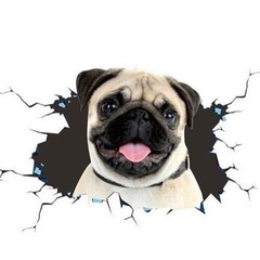 犬のฅ՞•ﻌ•՞ฅ車や壁ステッカーの画像