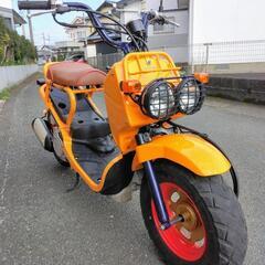 決まりました!(^^)!　　ホンダ　ズーマー　実働整備車　　合志市発の画像