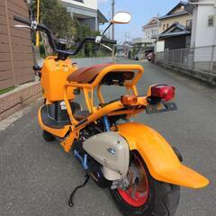 決まりました!(^^)!　　ホンダ　ズーマー　実働整備車　　合志市発の画像