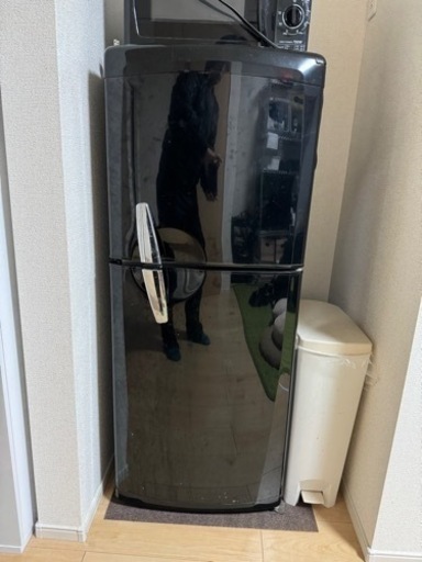 冷蔵庫、不用になったので、お譲りします