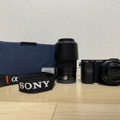 ミラーレスSONY ILCE-6300とレンズSEL55210とSELP1650とケース