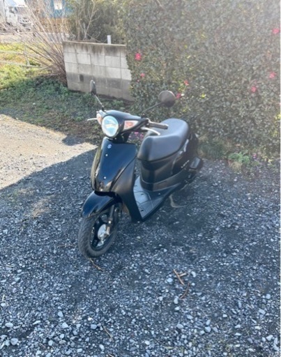 741. 動画あり　スズキ　レッツ　高年式　現行型　原付　バイク　50cc   車体