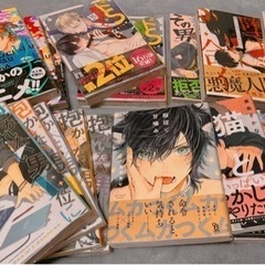 相談中    美品  カバー付き