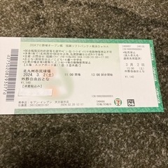 3月2日　福岡ソフトバンクホークス　横浜DeNA 外野自由席　大人1枚